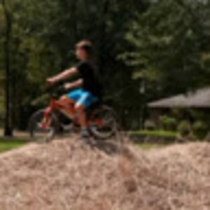 Meet your Posher, Austin